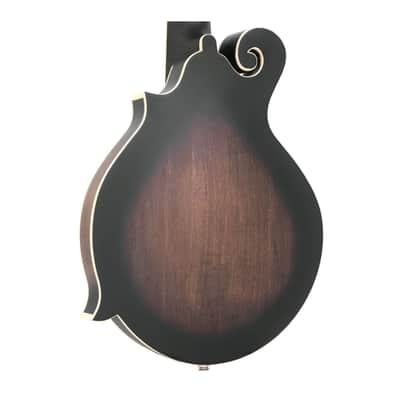 Gold Tone F-12: 12-string F-style Mando-Guitar with Pickup and Case image 8