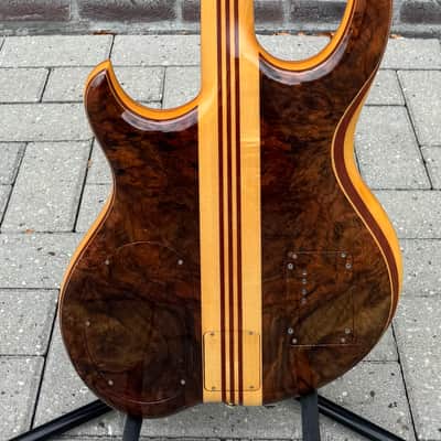 Alembic Custom EvH Signature Series II Superfilter image 9