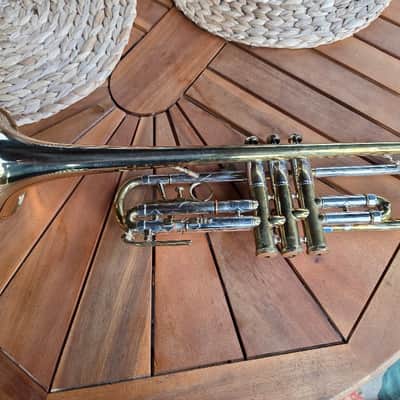 Amati Consul Circe image 5