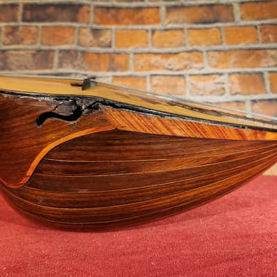 LUTHIER SPECIAL Antique 1900s Italian Mandolin Natural For Repair w/ Chipboard Case image 14
