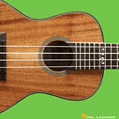 Easy Songs for Ukulele - Play the Melodies of 20 Pop, Folk, Country, and Blues Songs image 1