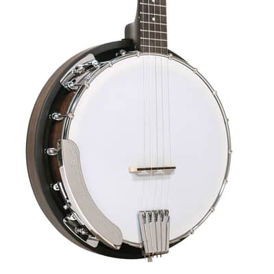 Gold Tone 5-String Bluegrass Banjo Package - CC-BG image 2