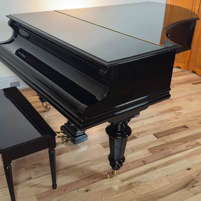 Immagine Bechstein V 1903 - Black Polish - 24