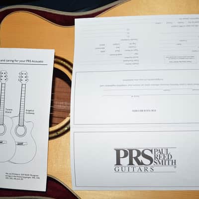 PRS Angelus by Steve Fischer 2010 - Gloss Natural image 13