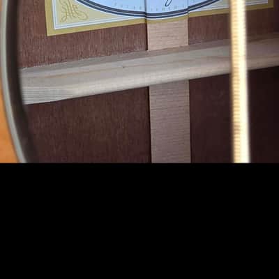 Taylor 516e Ltd Baritone-6 image 3