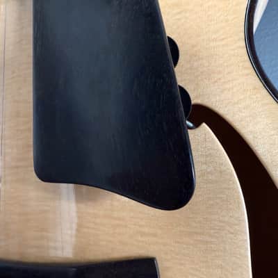 2025 Wald 17-inch Archtop - Brand New - Custom TRM Build Bild 8