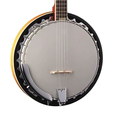 Washburn B9-WSH Americana Series Cast Aluminum Tone Ring Mahogany Neck 5-string Resonator Banjo w/Hard Case image 4