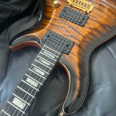 Carvin California Carve Top 2013 - Tiger’s Eye image 25