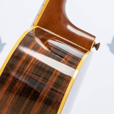Daion YD-35 Acoustic Six String (built by Yamaki) image 14