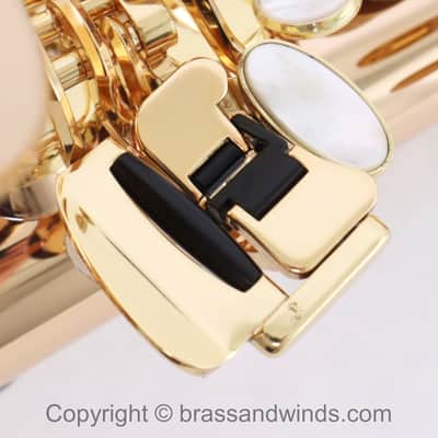 Yanagisawa Model AWO20 Elite Alto Saxophone SN 398596 SUPERB image 15