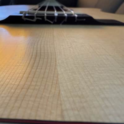 APC Instruments Luthier Gold CW ALL SOLID classical guitar with Cutaway und Fishman Pickup image 15