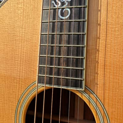Santa Cruz OO Erik SKYE 2019 - Cocobolo image 3
