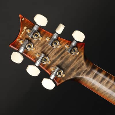PRS Wood Library DGT 10 Top, Stained Maple Neck in Burnt Maple Leaf #252678 - Pre-Owned image 6