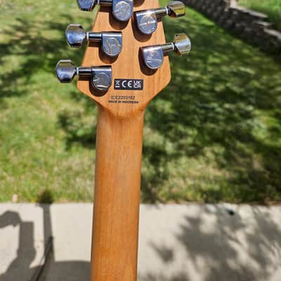 Fender EVH Wolfgang 2024 Ziricote image 5