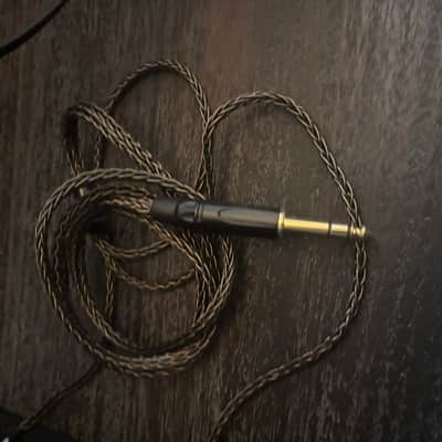 HiFiMan Arya Stealth + HiFiMan EF499 R2R DAC/Amp + Custom Cable (Bundle - Mint Condition) image 5