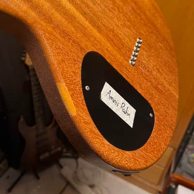 Nishgaki Style-N Guitar Amnis Radix 2018 Suiboku image 4