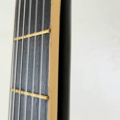 Rare Esteban Spanish Rosas Classical Guitar Character Flowers image 8