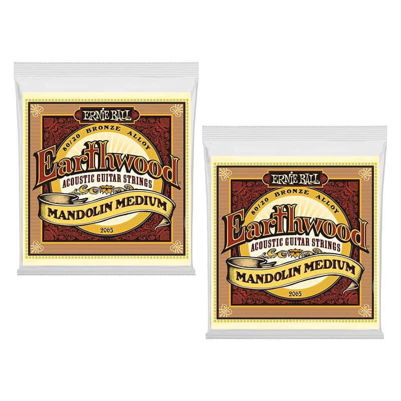 Ernie Ball Mandolin Strings Earthwood 2065 Medium Loop End 2 Pack image 1