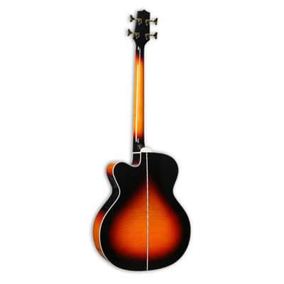 Takamine GB72CE G Series Electro-Acoustic Bass - Rosewood Fingerboard, Brown Sunburst image 2