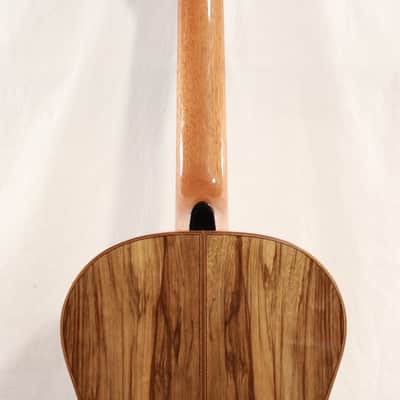 2017 S.F. Allen Custom USA Western Cedar / Black Limba Nylon String Guitar w/ Case image 17