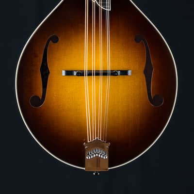 Collings MT2 Mandola Sunburst Adirondack Spruce and Flamed Maple NEW image 4