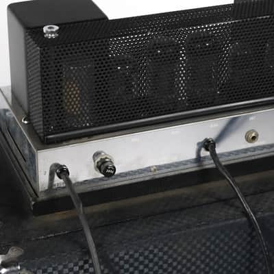 Ampeg B-15n Owned by Matt Freeman Of Rancid image 14