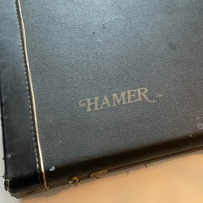 1980's Hamer Explorer Style Model Guitar Tolex Hardshell Guitar Case image 4