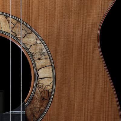 Classical Guitar by Tim Harris Double-top Concert Classical April 2019 - French Polish image 9
