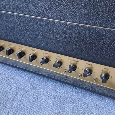 Friedman BE-100 Brown Eye 2-Channel - with several mods image 9