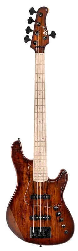 Cort GB-Fusion 5 Antique Brown Burst w/Gigbag image 1