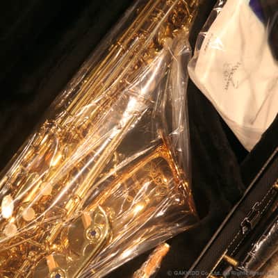 Yanagisawa A-WO20 Bronze model Elite Professional Alto Saxophone Clear Lacquer Finish MADE IN JAPAN image 2