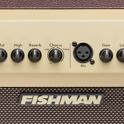 Fishman PRO-LBT-500 Loudbox Mini Bluetooth 60 watts image 3