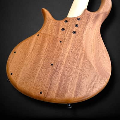 Elrick EVO Gold 5 String Horse Chestnut 2024 - Natural image 7