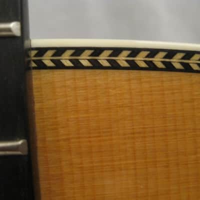 Martin Baritone Pete Seeger JSO! Singout 60th Anniversary Custom Artist Edition (6-string) #2! image 6