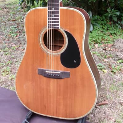 1982 Yairi D 35 YW-500P - Bargain! image 4
