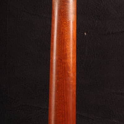 Godin xtSA 2007 - Sunburst image 10