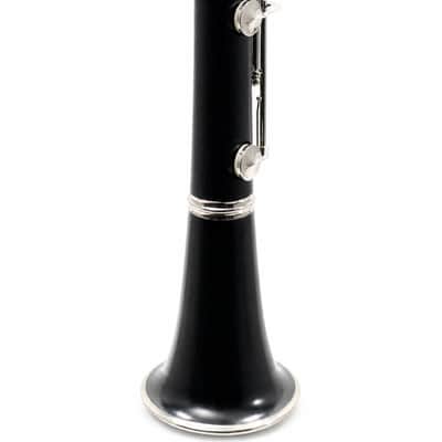 Buffet Crampon R13 Professional Bb Clarinet in Grenadilla SN 542908 image 13