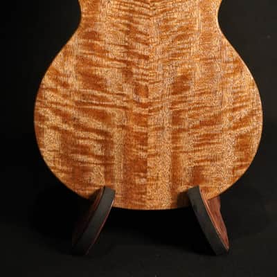Rebel Double Creme Tenor Gloss 2025 - Natural image 3