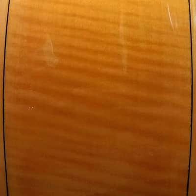 Brazos 78m image 20
