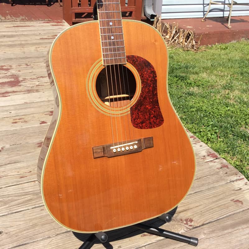 1995 Washburn D25S/N | Reverb