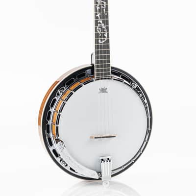 Ibanez B200 5-String Resonator Banjo - Natural Gloss image 1