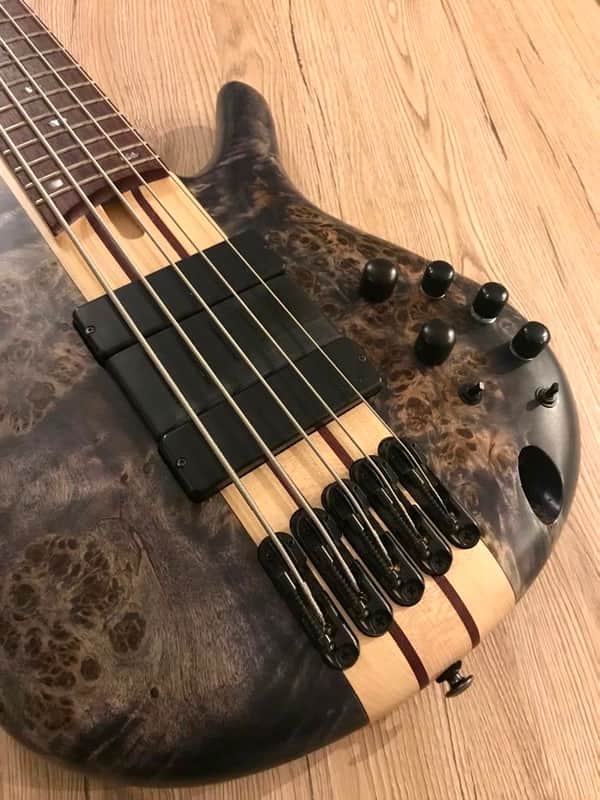FINGER RAMP U Bass  Ibanez SRSC805 Finger Ramp PRO in resin  2020 Black / White / Clear image 1