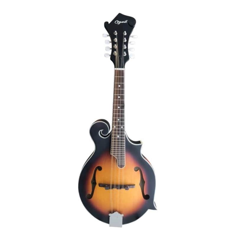 Ozark F-style Mandolin solid top + gig bag image 1