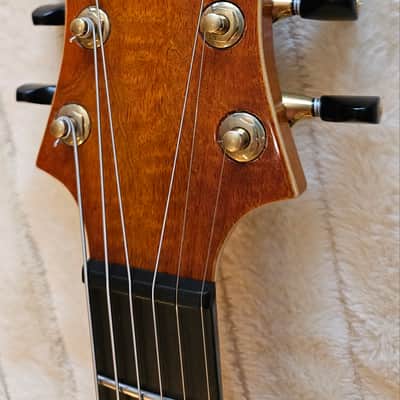 Model 14 Chambered semi-hollow guitar 2024 NEW from VB image 11