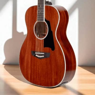 D'Angelico Excel Tammany Acoustic-Electric Guitar â€“ Natural Mahogany, Solid Top, Grover Tuners, Fishman Pickup image 2