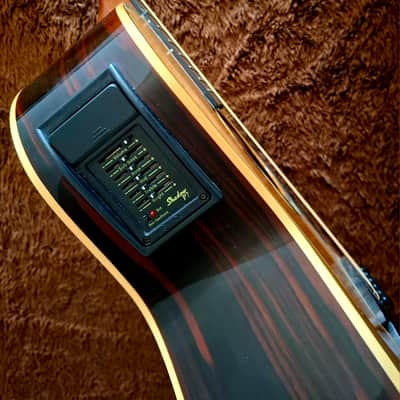 Hohner Striped Ebony Sides, Back & And Fretboard All Solid Woods Flat Top Acoustic Electric Dreadnought Steel String Guitar image 5