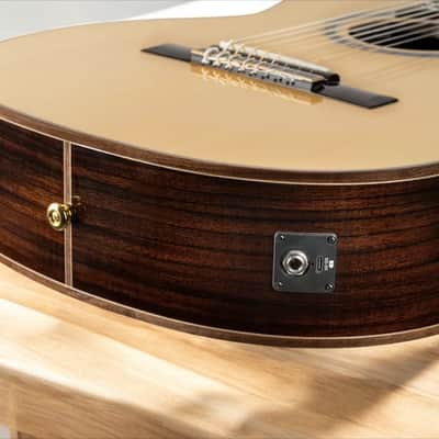 Ortega RCE158RW-8 Performer Series 8-String Classical Guitar â€“ Nylon Strings, Solid European Spruce, gloss finish Indonesian Rosewood, gloss finish, Cutaway, w/ Pickup image 14