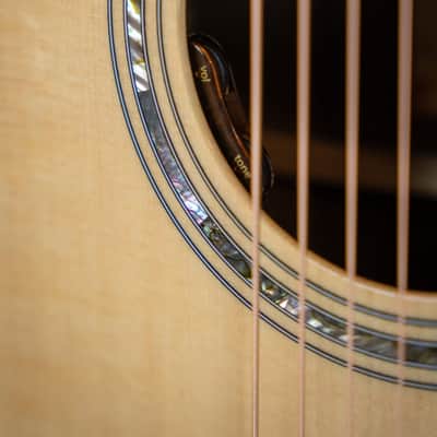 Taylor Legacy 815e image 3