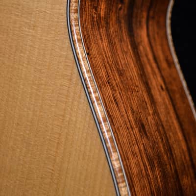 Baden - American Made TJ Baden Guitar Madagascar image 9