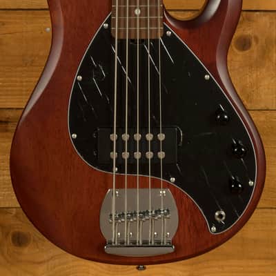 Sterling RAY5 SUB Series StingRay 5 Bass - Walnut Satin image 3